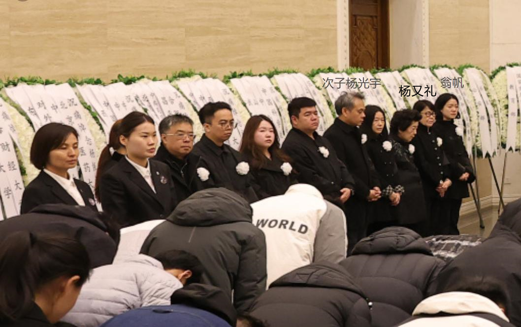 杨振汉赴八宝山送别杨振宁!露面回忆往事,透露了哥哥的一个遗憾