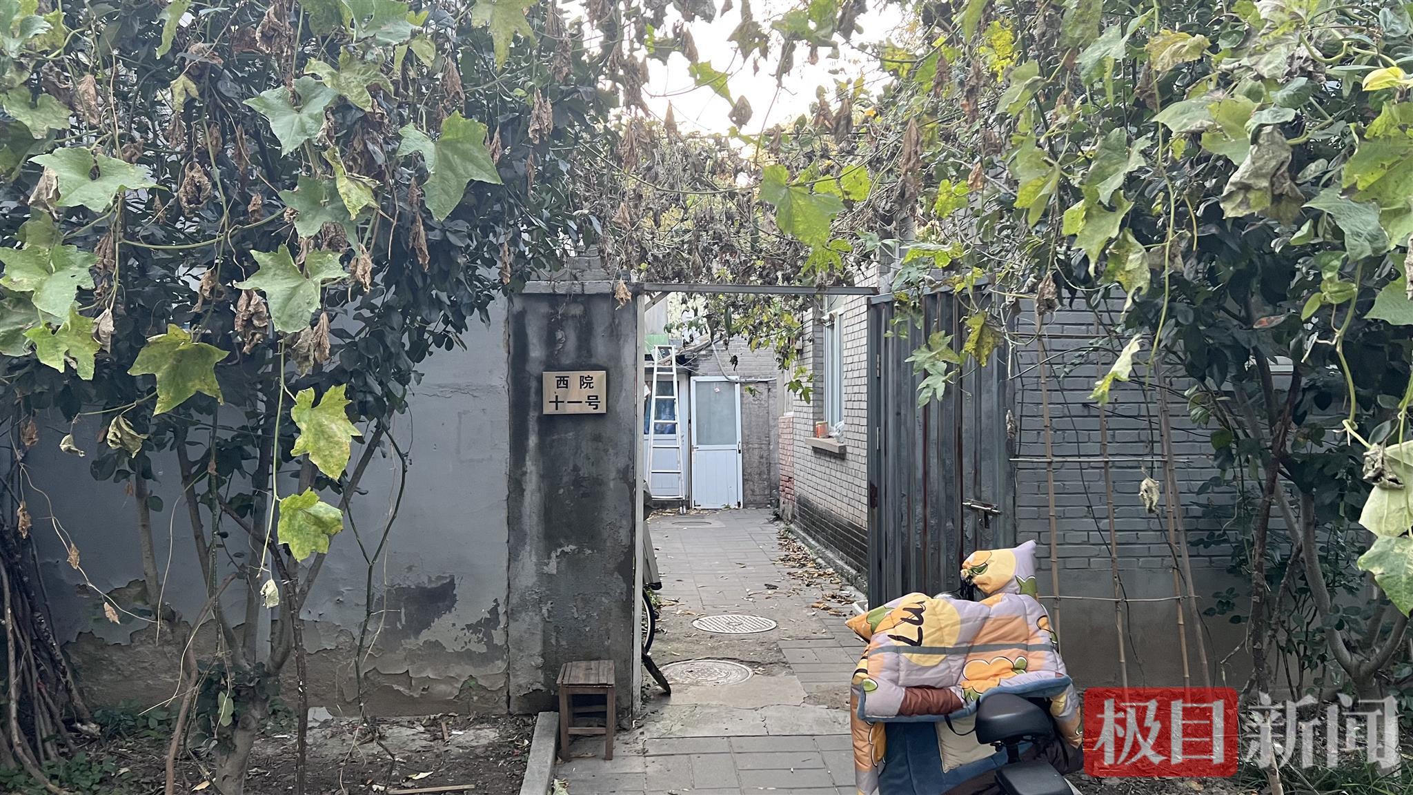 103岁科学巨匠一生走了一个大圈——杨振宁留在清华园的三处“足迹”