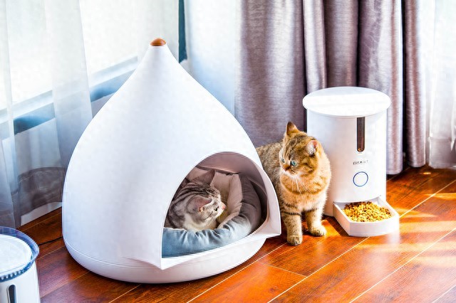 宠物用品智能化：是真趋势，还是被包装出来的伪需求？