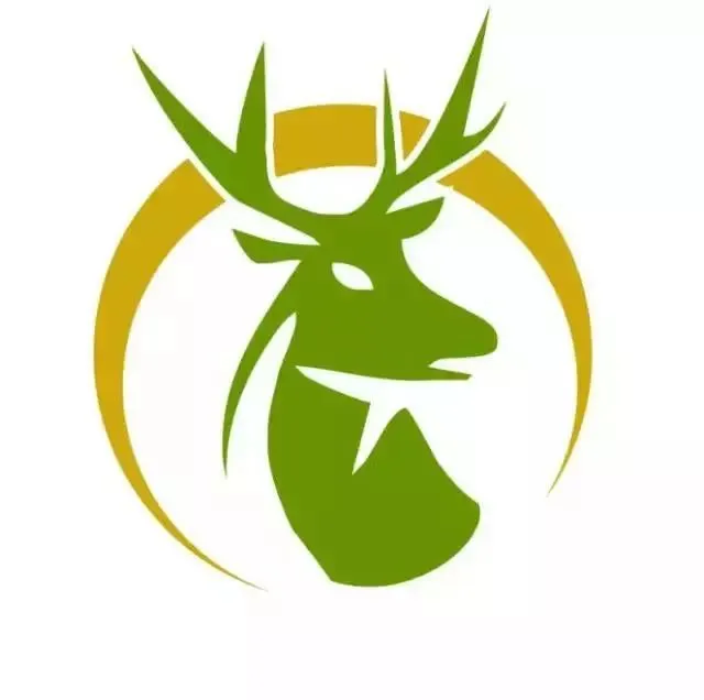 T11新融资暂缓饥渴,生鲜超市“寒冬”依旧