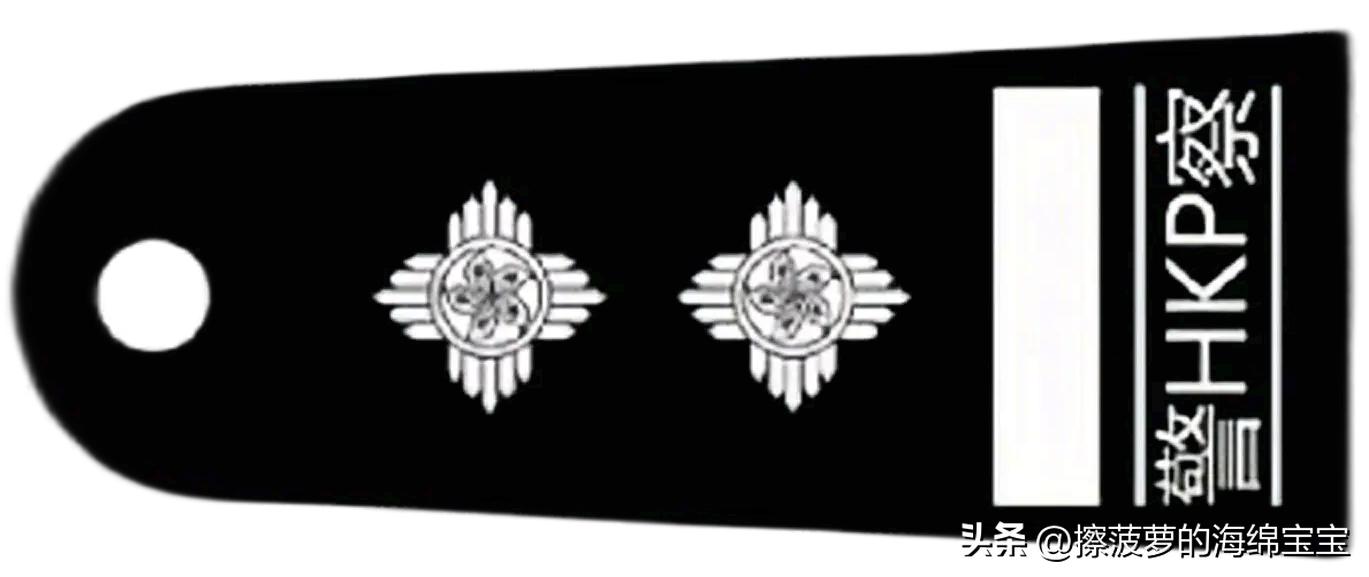 电影《逃学威龙》三部曲人物职级解析