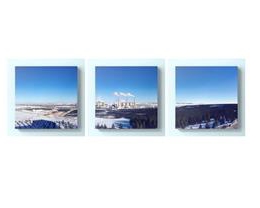 iPhone 如何一键保存 Safari 浏览器网页中的全部图片？