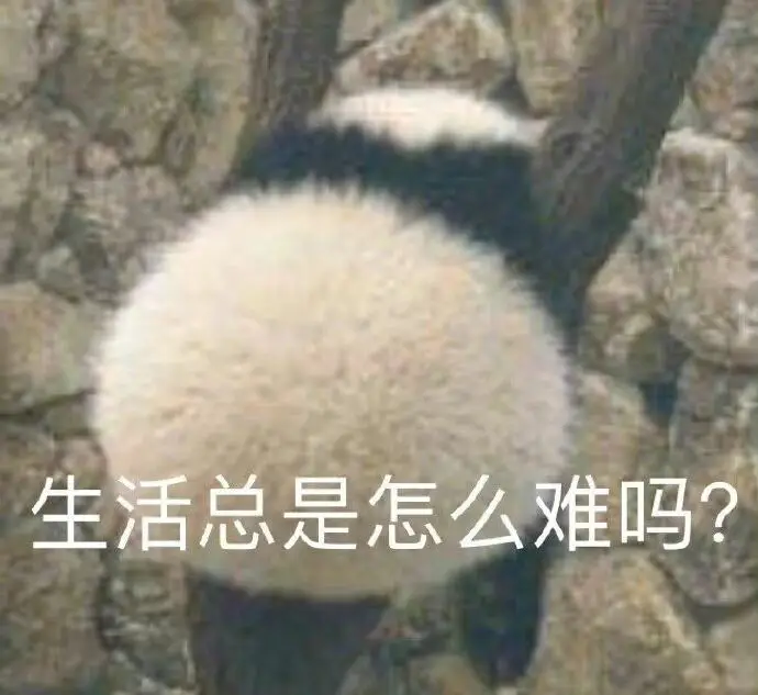 “面对论文,我有些无从下手……”