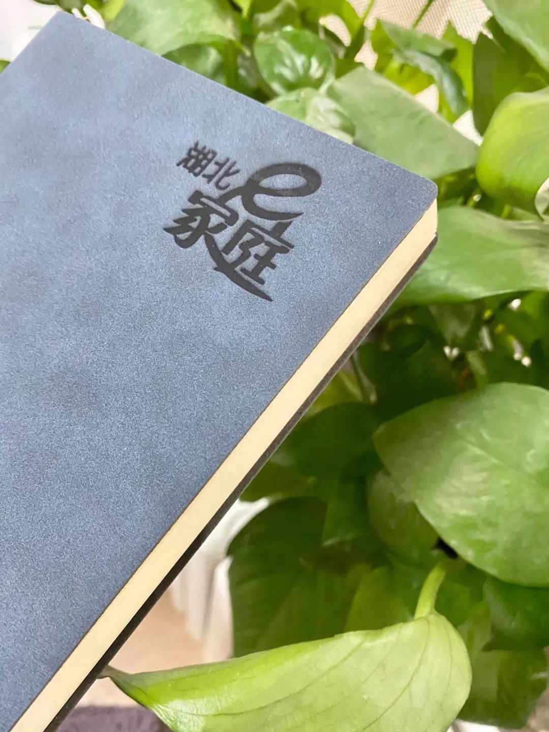 钱志亮：0-6岁早期教育，到底应该教孩子什么？