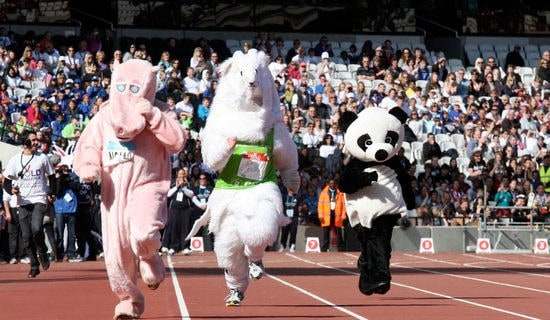 关于校园运动会的新闻稿范文