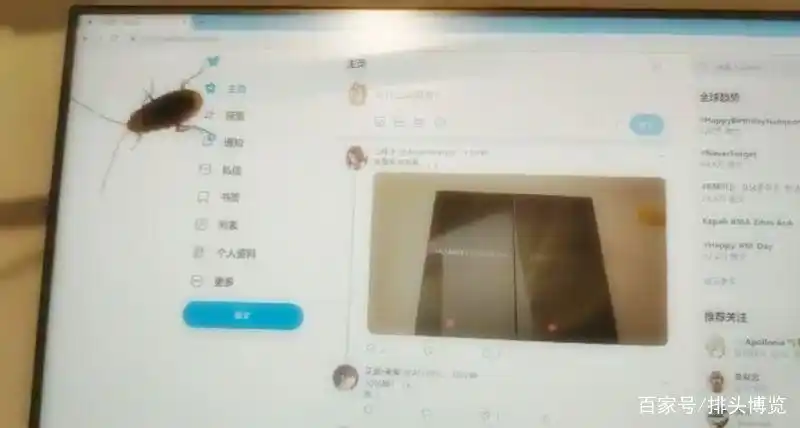 在电脑桌面上养蟑螂，除了喂食还能给它戴蝴蝶结