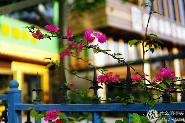 剁手 SIGMA 适马 30mm F1.4 DC DN E卡口 镜头 开箱及使用体验