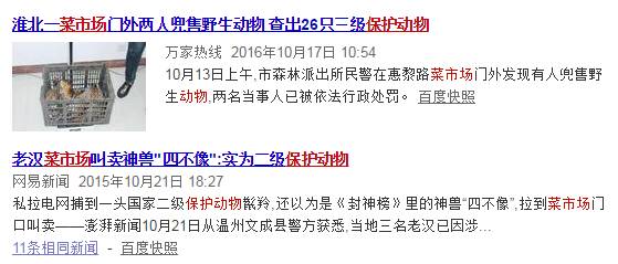 这只被端上餐桌的中华白海豚，让“吃货”这个词浸满了鲜血