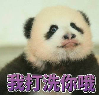 这只被端上餐桌的中华白海豚，让“吃货”这个词浸满了鲜血