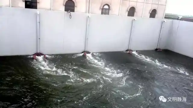 暴雨不怕 我们在坚守——静海区多部门联动积极应对强降雨天气