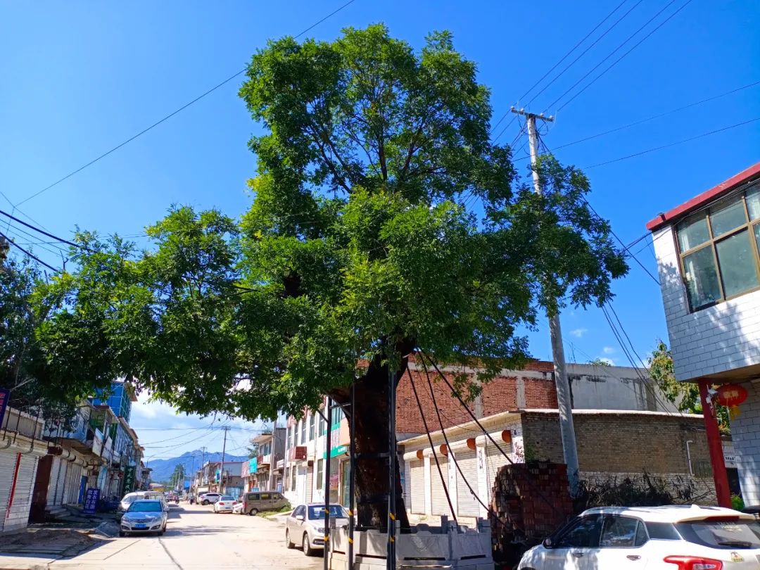 【名人灵寿】震惊整个晋察冀边区的灵寿刘牛事件