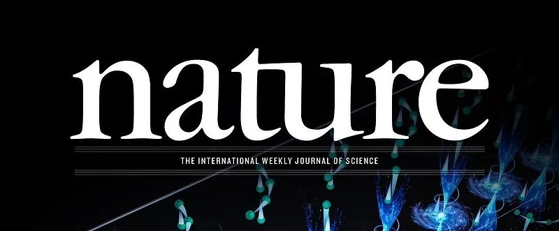 知网织的网,破了