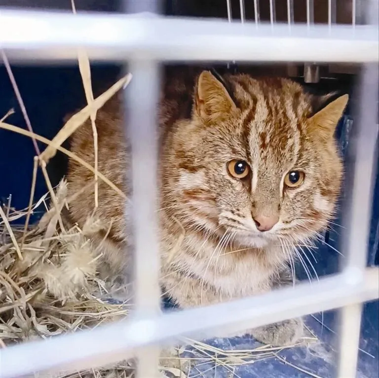 早读 | 10级大风+扬沙!5.2级地震!医院吊顶掉落!莫言来天津!海底捞报警!突发山火!知名女星道歉!两央企重组!