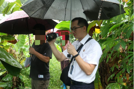 台山答好“三道题”，以高质量公证服务赋能侨都发展