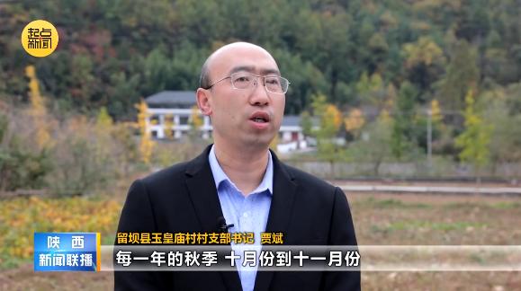 《陕西新闻联播》头条播出 | 陕西：推动“四好农村路”高质量发展 助力建设宜居宜业和美乡村