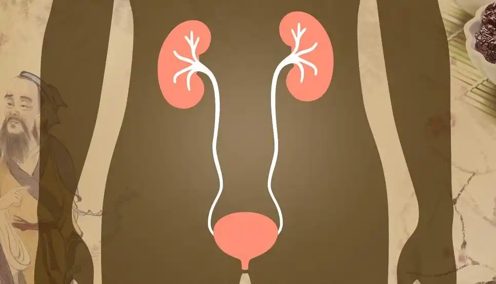 活人能被尿憋死?经常憋尿的危害你想象不到