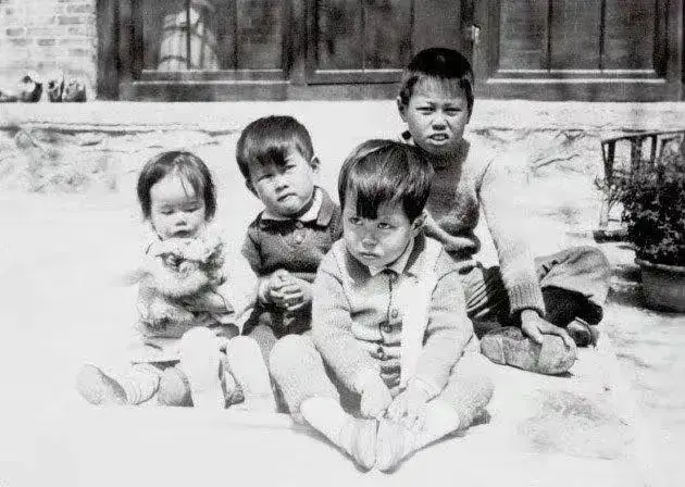 这是翁帆和杜致礼、杜致礼妹妹及三个继子3张合影，她俩都像婆婆