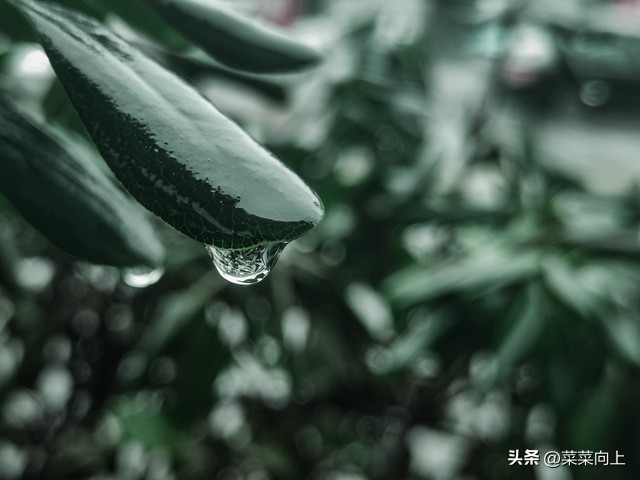 2026年入梅出梅时间确定！哪天入梅、哪天出梅？今夏雨水多不多？