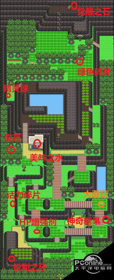 正在阅读：pokemmo神奥白金二周目图文流程攻略