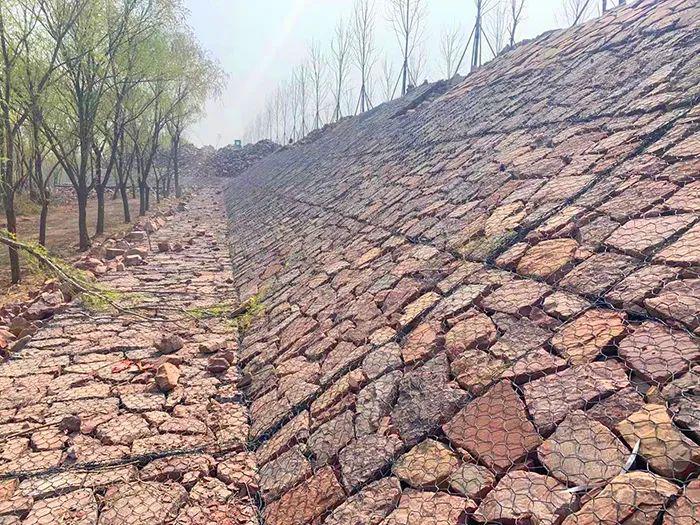 黄河护岸的历史传承与科技创新