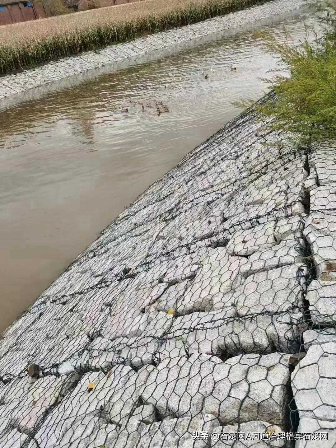 河道治理“黑科技”—雷诺护垫：守护河道生态平衡的“柔性卫士”