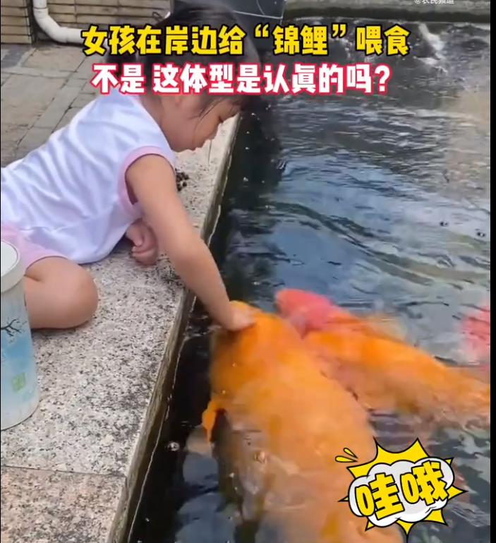 三分钟新闻早知道