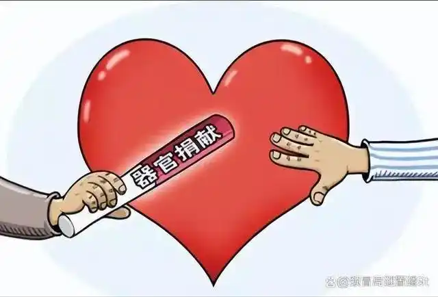 纪实：13年后回看药家鑫案：行刑前十分钟，他身上的悲剧仍在继续