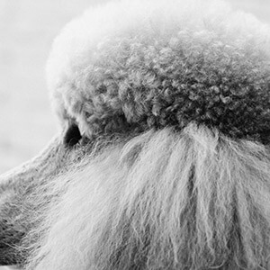 我不小心加了一个叫明星的QQ。然后他说有人泄露了他的QQ，让我配合调查，他有我的信息和IP地址