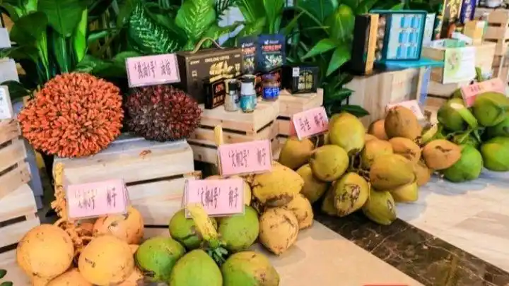 想了解海南琼海吗？让我们一同走进琼海的世界