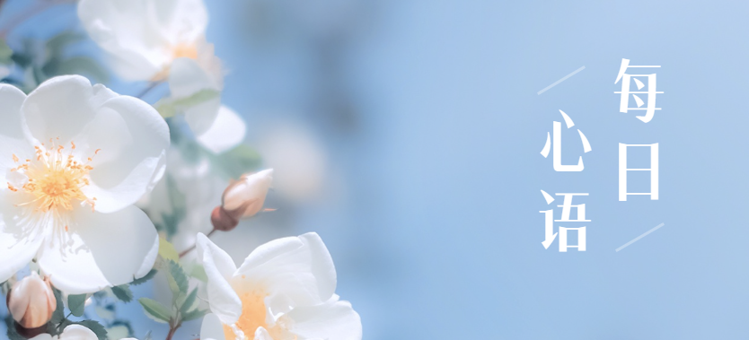 微信迎来重大更新！