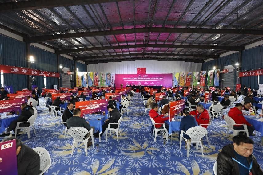 包公故里的掼蛋盛事  首届中国职工竞技掼蛋锦标赛合肥站落幕