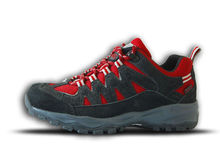 户外运动——美途