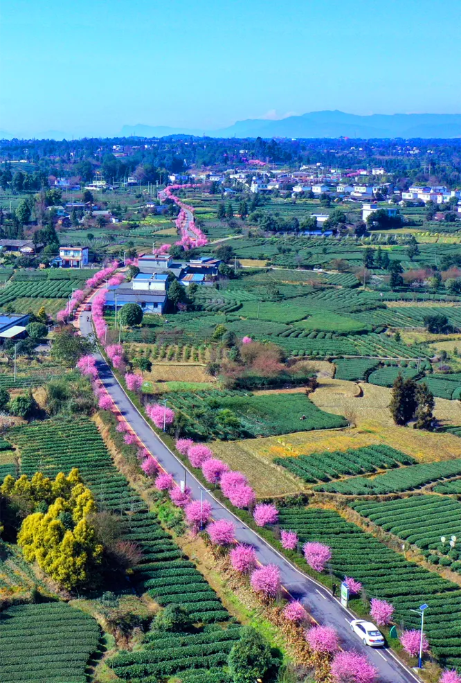 在雅安：遇见交旅融合的“诗与远方”