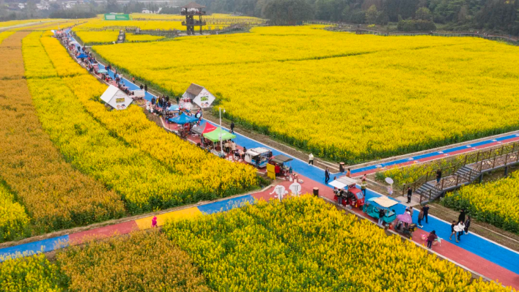 在雅安：遇见交旅融合的“诗与远方”