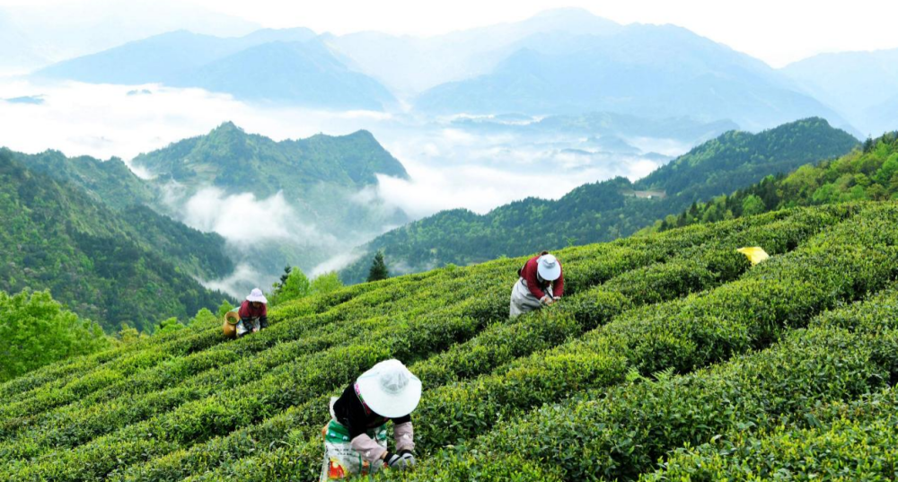 生态创建专题｜多彩贵州的生态共富路——国家级生态文明示范区的创新实践与系统经验