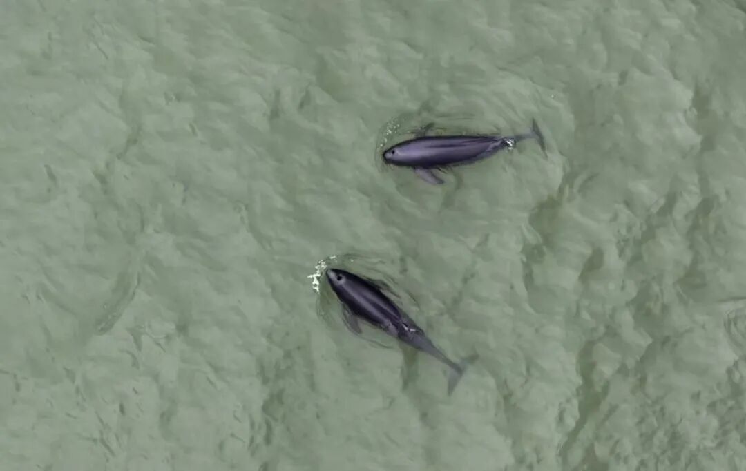 碧水蓝天净土绘就幸福底色!南通“十四五”生态保护交出高分答卷