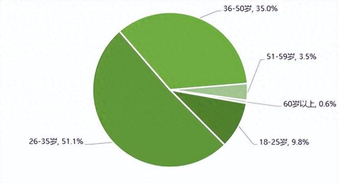 新能源电动汽车消费与公共充电桩使用情况调查报告（上）