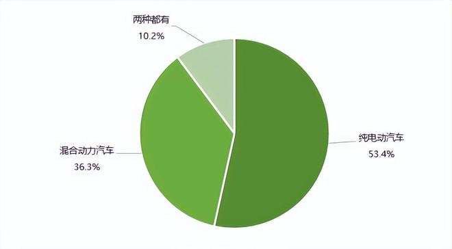 新能源电动汽车消费与公共充电桩使用情况调查报告（上）