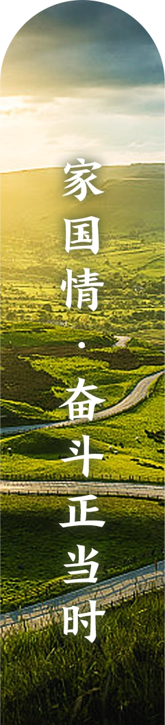 早安，你好丨“法定退休年龄计算器”上线，一键自查→