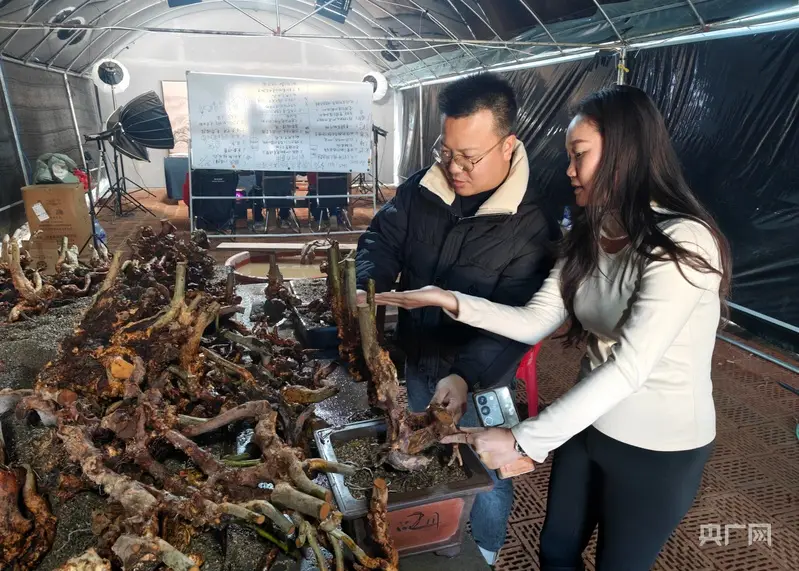 福建清流:干部培养新机制 激活发展新动能