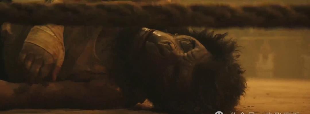 7部今年上映的高分动作猛片,尺度炸裂,全程无尿点!