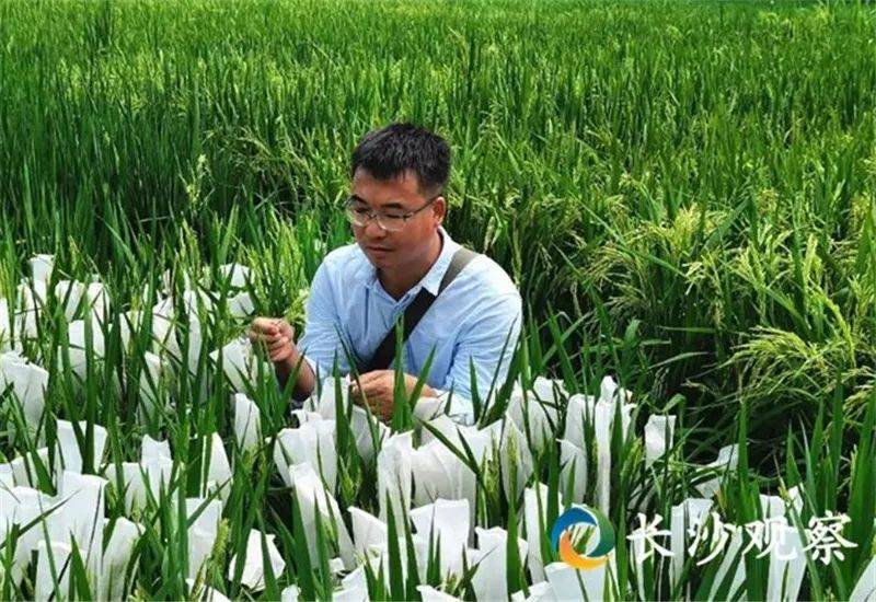 新五年，长沙如何描绘“三个高地”新蓝图？