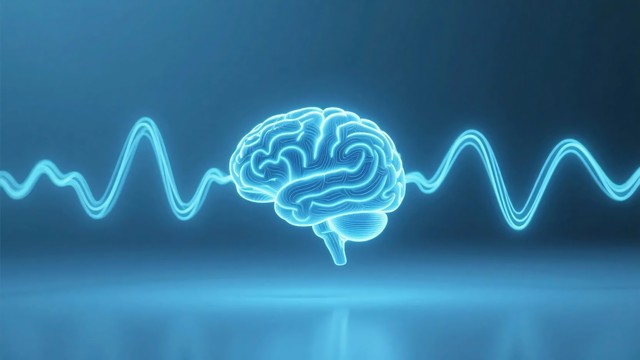 记忆的秘密：8个科学方法提升记忆力与防止遗忘