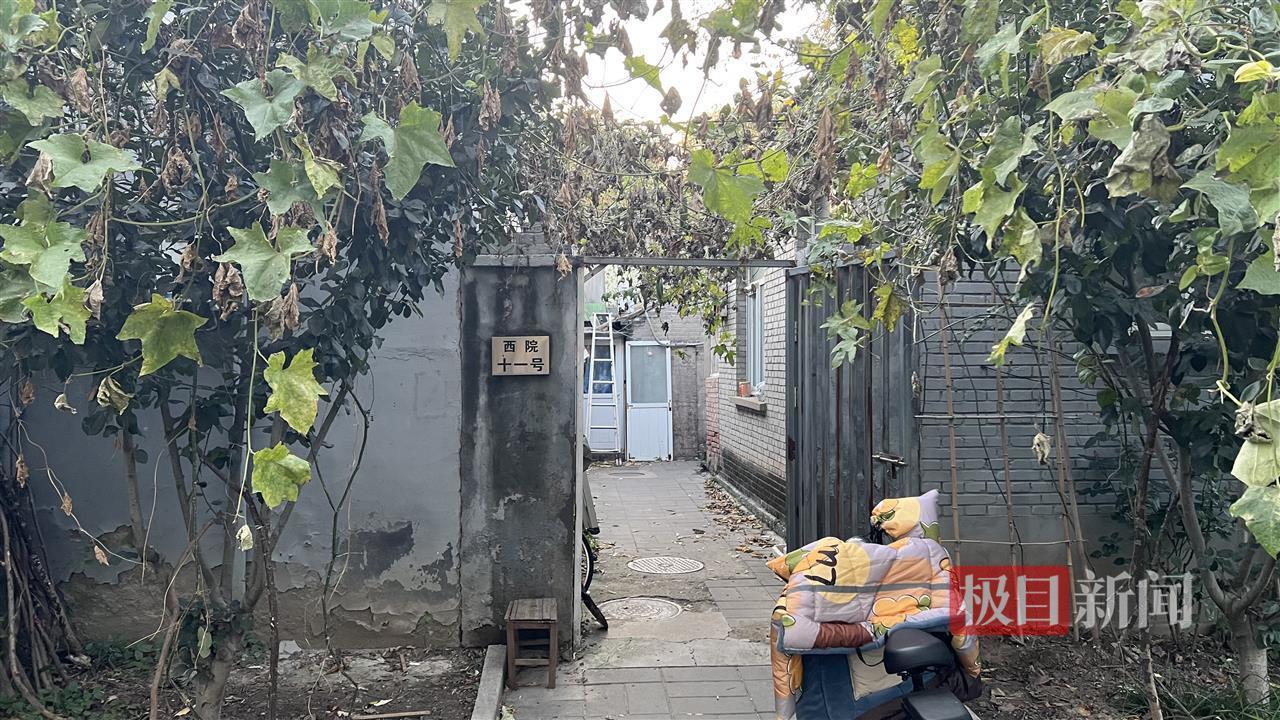 探访杨振宁儿时生活的清华园旧居:院落与杨振宁几乎同龄,有人专程凭吊