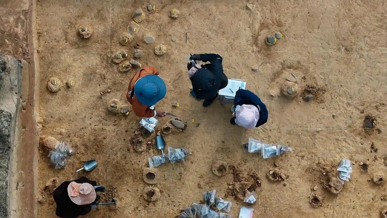 2025值得细品十部纪录片：王一博、陈其钢、斯科塞斯在列