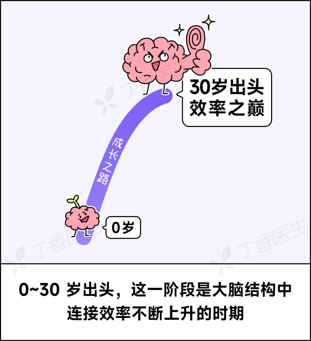 别急，青春期到 32 岁才结束！大脑的一生有 4 次关键转折点