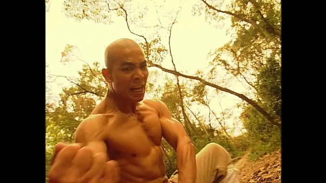 亚视版《洪熙官》播出27年,白眉道人已去世,高进忠在深圳开餐厅