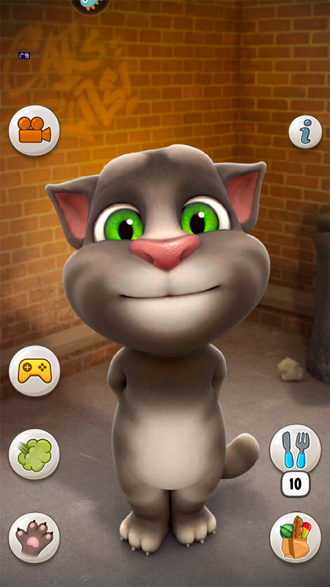 会说话的汤姆猫破解版无限金币版