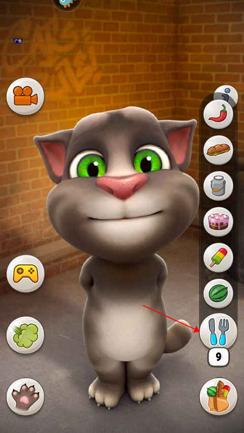 会说话的汤姆猫破解版无限金币版