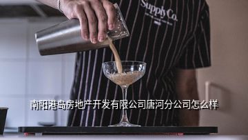 南阳红冠酒业有限责任公司分公司禁止变更转档，南阳无线数字传输有限公司还开展业务吗
